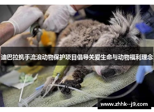 迪巴拉携手流浪动物保护项目倡导关爱生命与动物福利理念